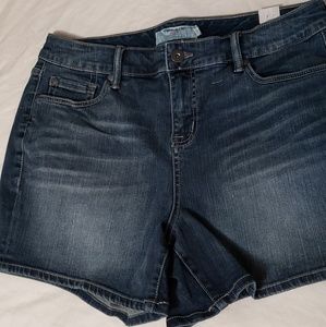 Torrid shorts